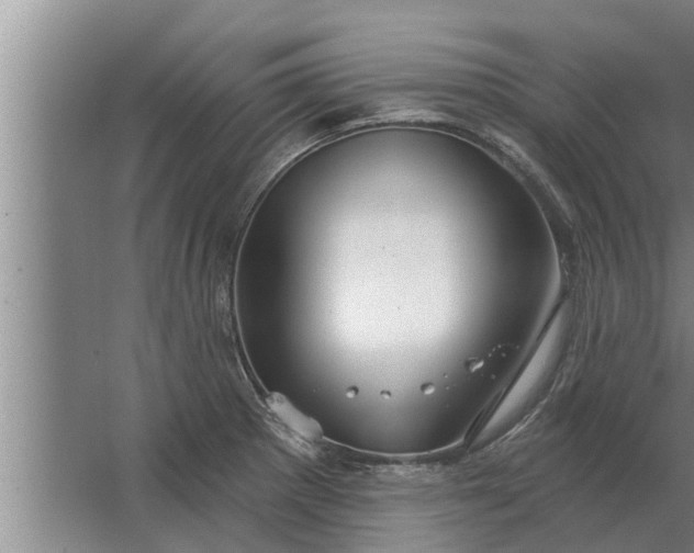 X0000063511281200602032034