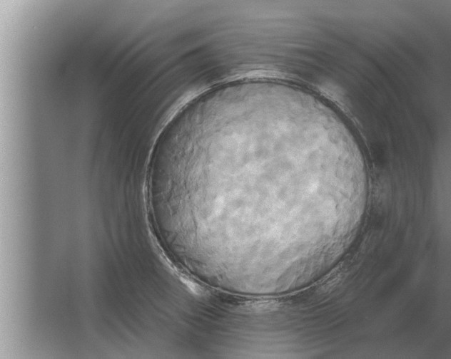 X0000063511282200602032034