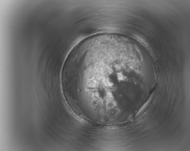 X0000063511283200602032034