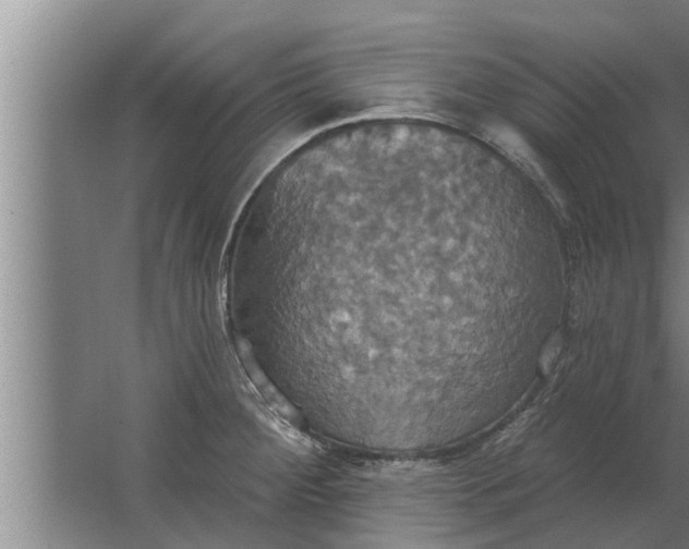 X0000063511284200602032034