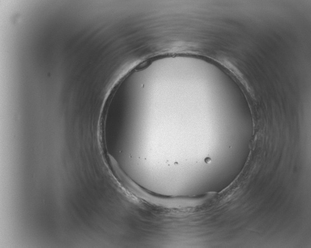 X0000063511285200602032034