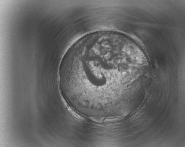 X0000063511287200602032034