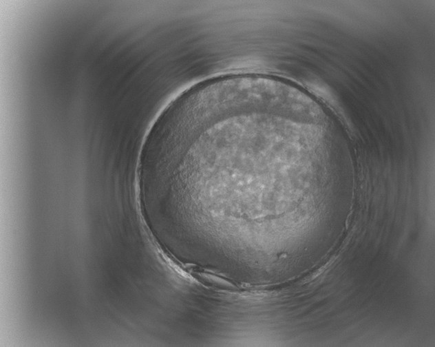 X0000063511288200602032034