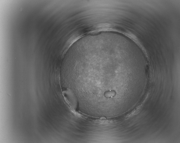 X0000063511289200602032034