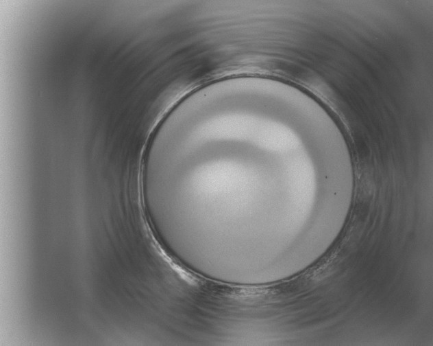 X0000063511290200602032034