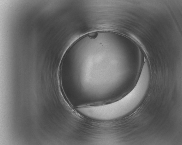 X0000063511291200602032034