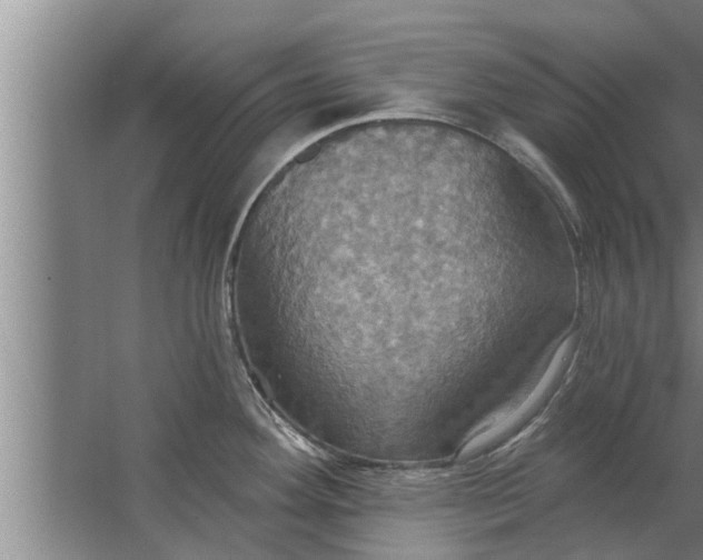 X0000063511292200602032034