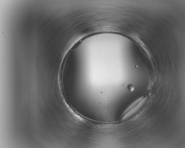 X0000063511293200602032034