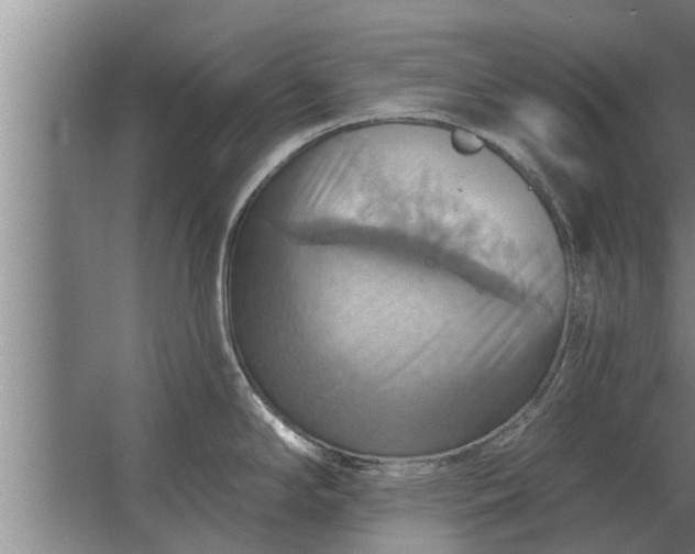 X0000063511294200602032034