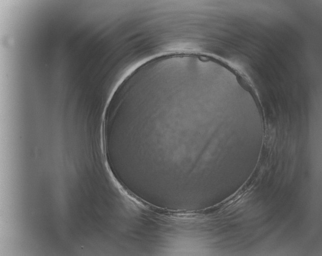 X0000063511295200602032033