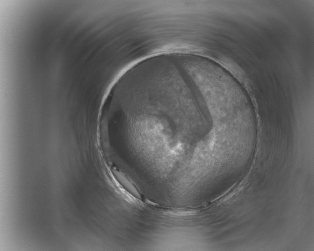 X0000063511296200602032033