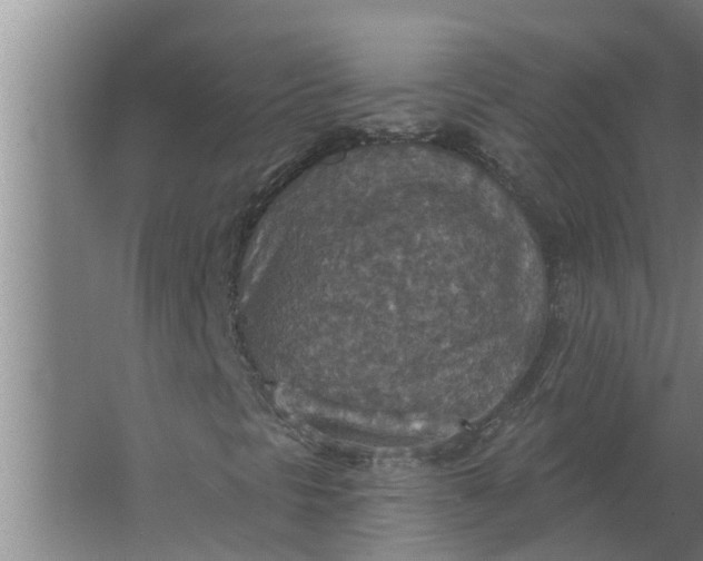 X0000063511297200602032033