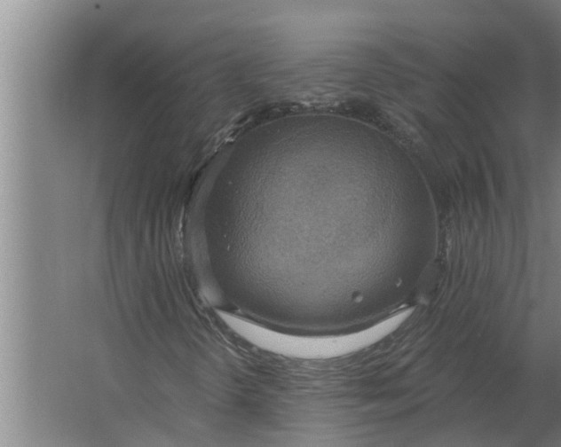 X0000063511298200602032033