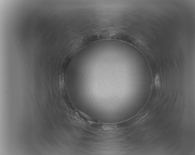 X0000063511299200602032033