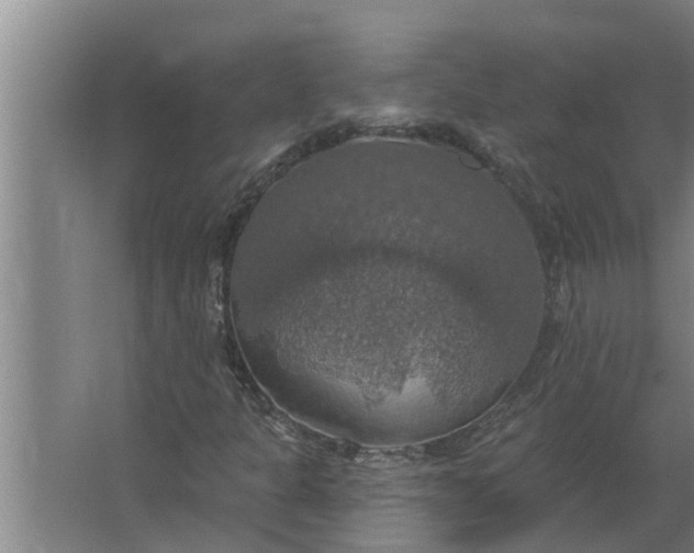 X0000063511301200602032033