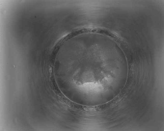 X0000063511302200602032033