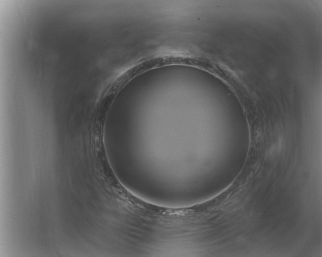 X0000063511303200602032033