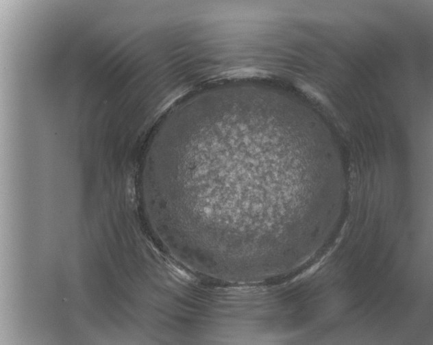 X0000063511305200602032033