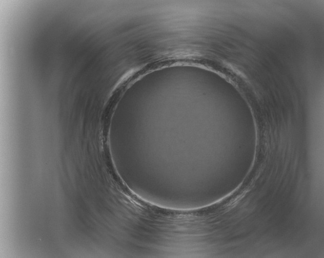 X0000063511306200602032033