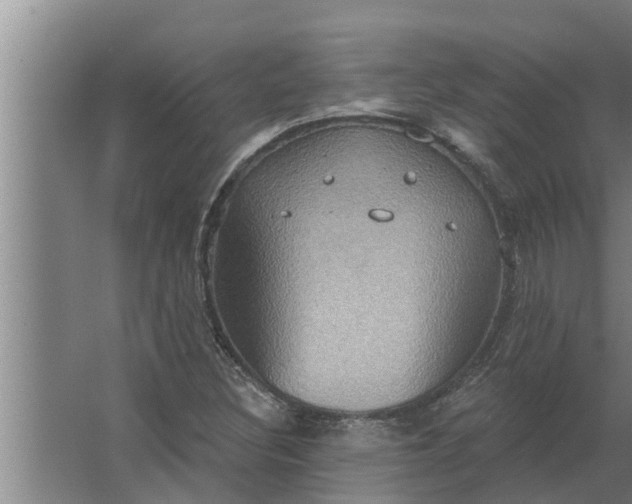 X0000063511308200602032033