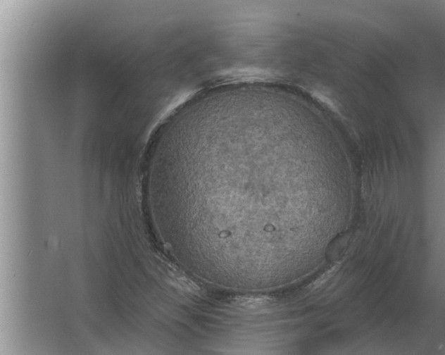 X0000063511309200602032033