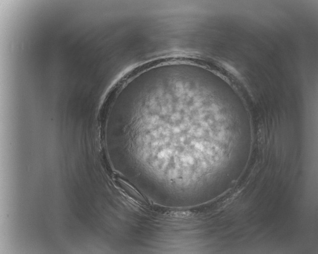 X0000063511310200602032033