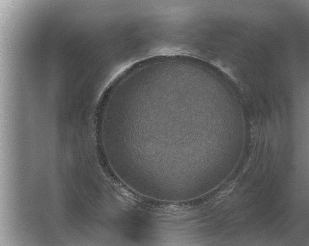 X0000063511311200602032033