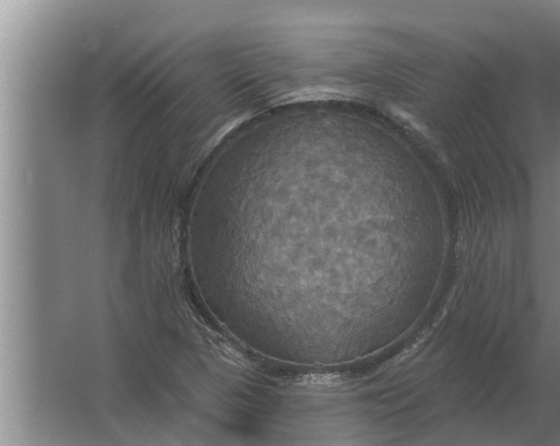 X0000063511313200602032033