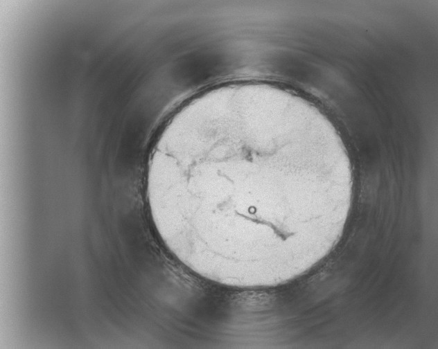 X0000063511314200602032033