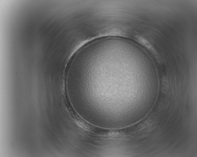 X0000063511316200602032033