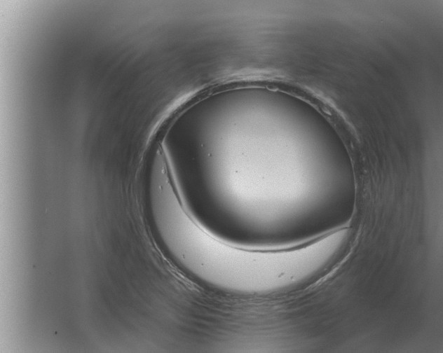 X0000063511317200602032033