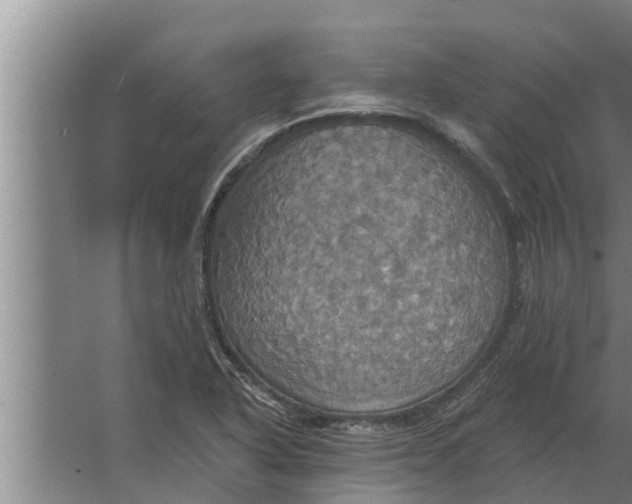 X0000063511318200602032033