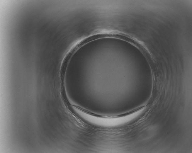 X0000063511319200602032033