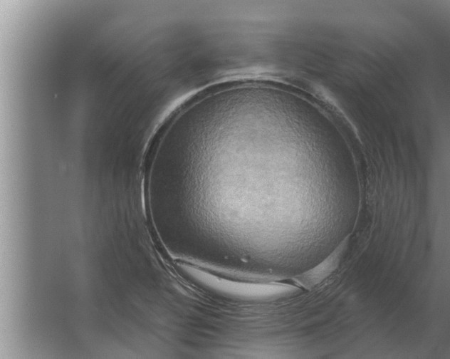 X0000063511320200602032033