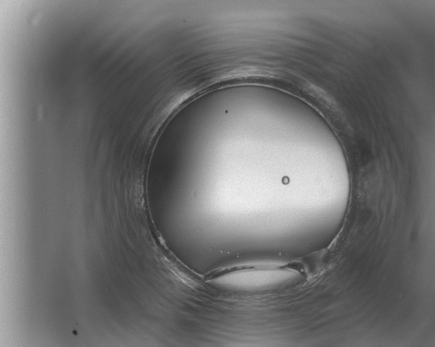 X0000063511321200602032033