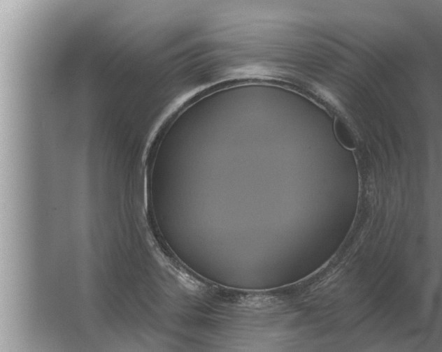 X0000063511323200602032033