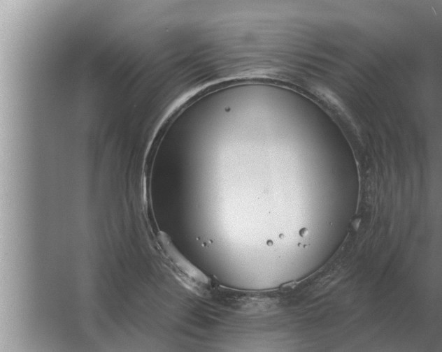 X0000063511324200602032033