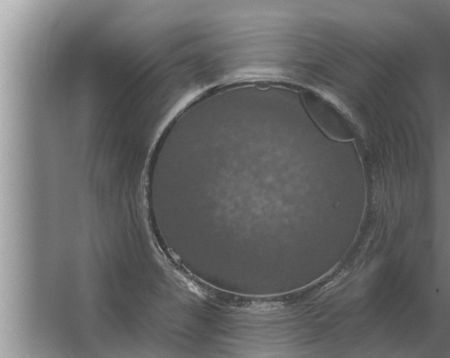 X0000063511325200602032033