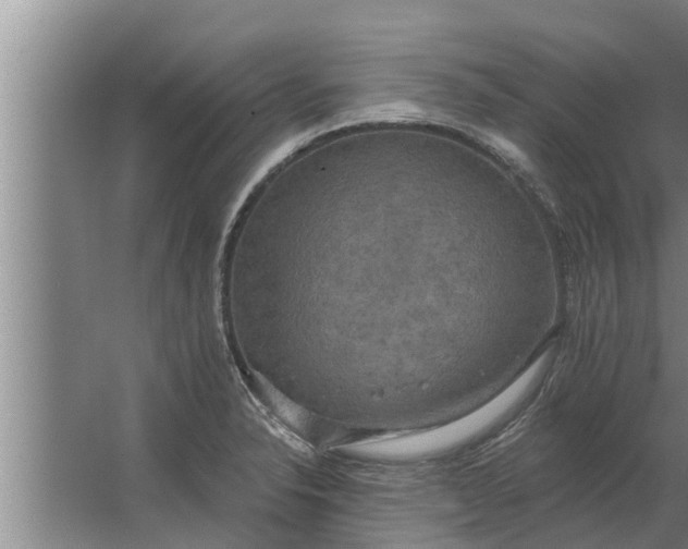 X0000063511326200602032033