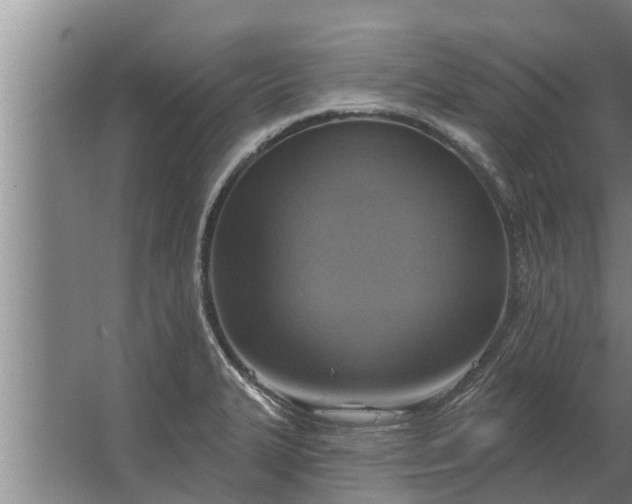 X0000063511327200602032033