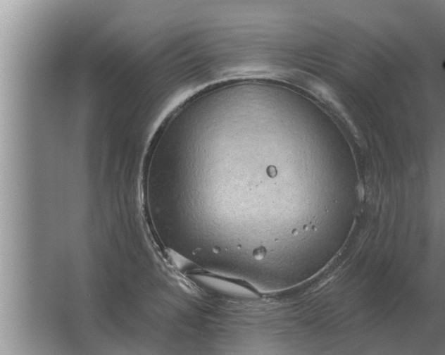 X0000063511328200602032033