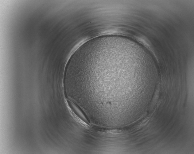 X0000063511330200602032033