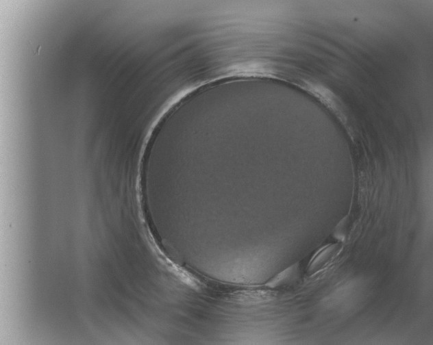 X0000063511331200602032033