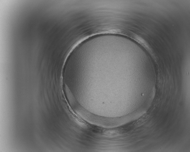 X0000063511332200602032033