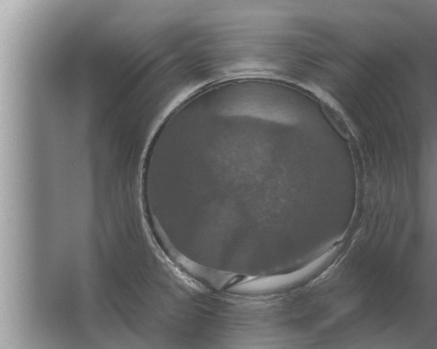 X0000063511333200602032033