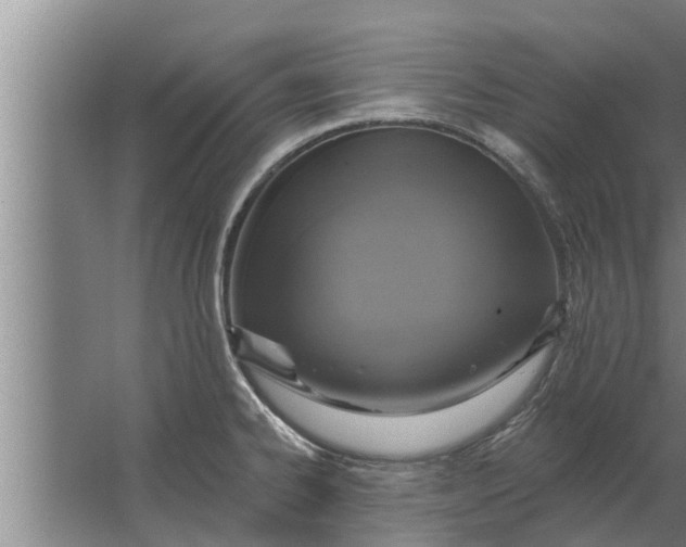 X0000063511334200602032033