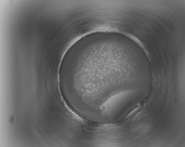 X0000063511335200602032033