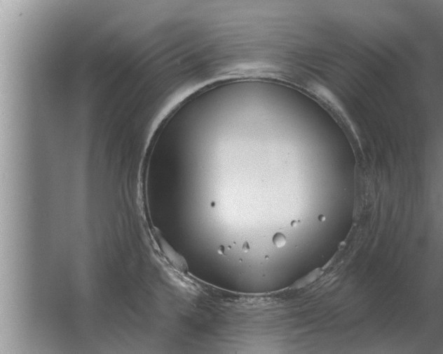 X0000063511336200602032033