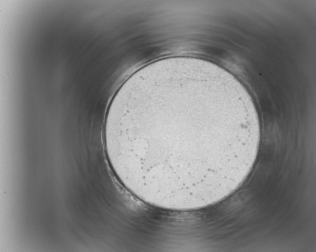 X0000063511338200602032033