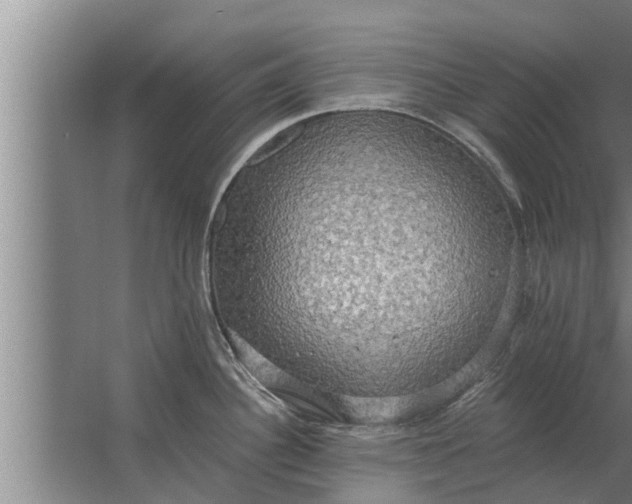 X0000063511340200602032033